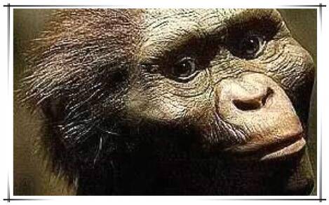 地球上第一个人是谁,20岁的女猿人露西(距今320万年)