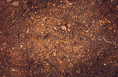酸性土壤怎么制作，适合种什么花(图2)
