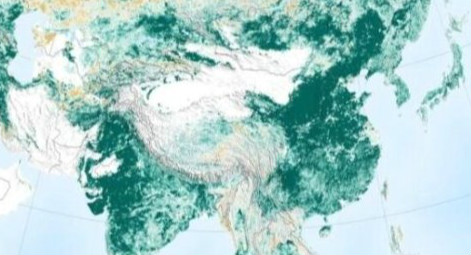 地球比20年前更绿了 中国和印度为地球变绿做出巨大贡献